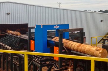 Log Handling System including WDH120 and Whole Log Metal Detector Belt Conveyor